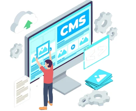 cms development